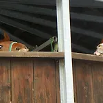 Affittacamere Reiter- Und Redder