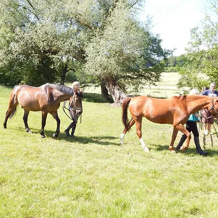 ゲストハウス Reiter- Und Redder バート・ドリーブルク