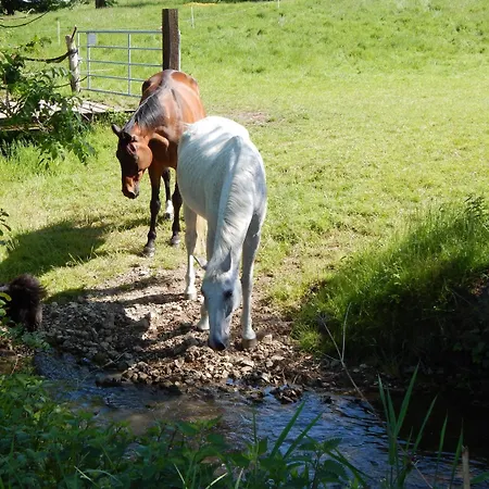 Pensión Reiter- Und Redder 3*