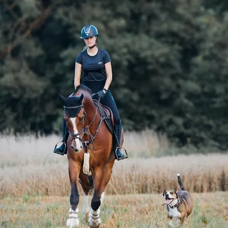 Guest house Reiter- Und Redder