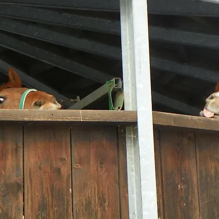 ゲストハウス Reiter- Und Redder