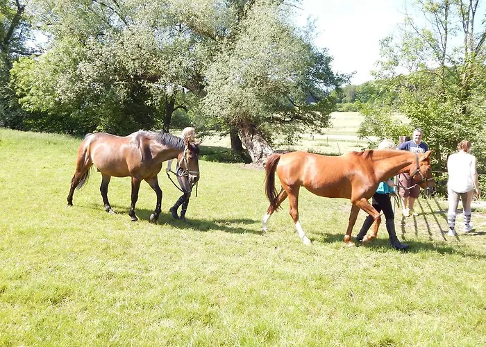 Guest house Reiter- Und Redder Bad Driburg