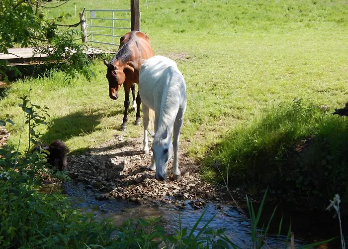Guest house Reiter- Und Redder 3*