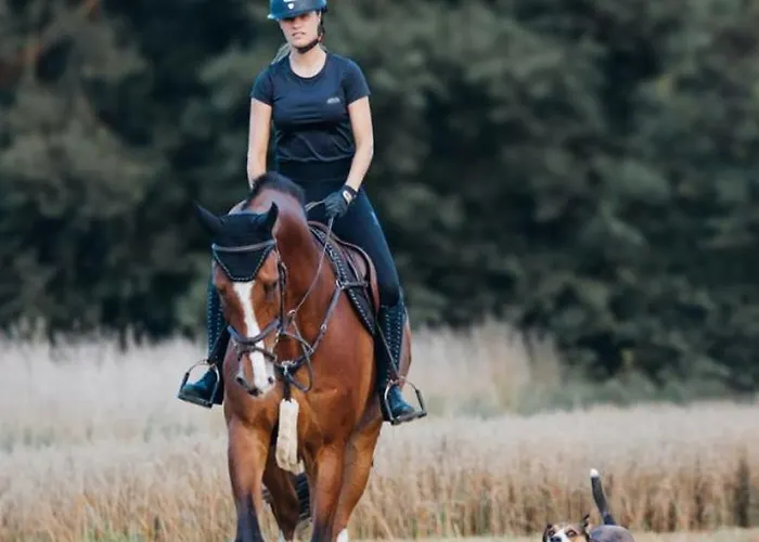 Affittacamere Reiter- Und Redder