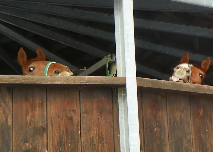 Guest house Reiter- Und Redder